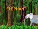 The Alphabet Letter E -  E  is for Elephant
