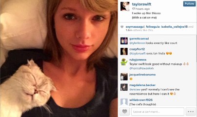 Taylor Swift Still Waking Up as Cat Lady