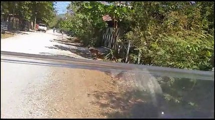 Driving a beautiful golf cart in Costa Rica.