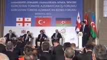 Türkiye-Azerbaycan-Gürcistan İş Forumu 4. Toplantısı