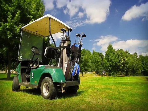 Minuscule La Vie privée des insectes saison 2 E12 Ivre De Vitesse