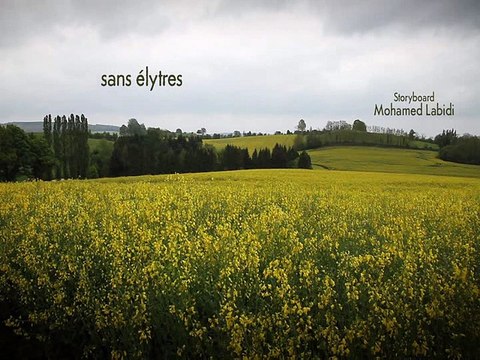 Minuscule La Vie privée des insectes saison 2 E01 Sans Elytres