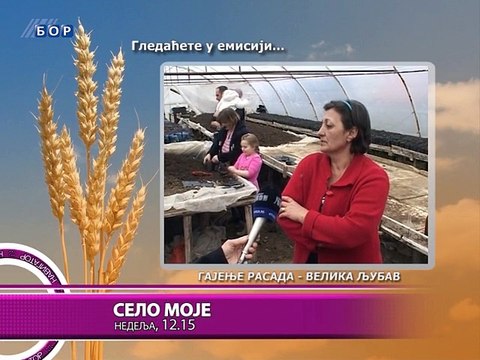 Navigator, 06. mart 2015. (RTV Bor)