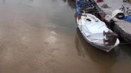 Gökova Körfezi'nin Rengi Değişti