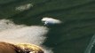 Glace complètement limpide et transparente sur le lac Huron : lac gelé magique