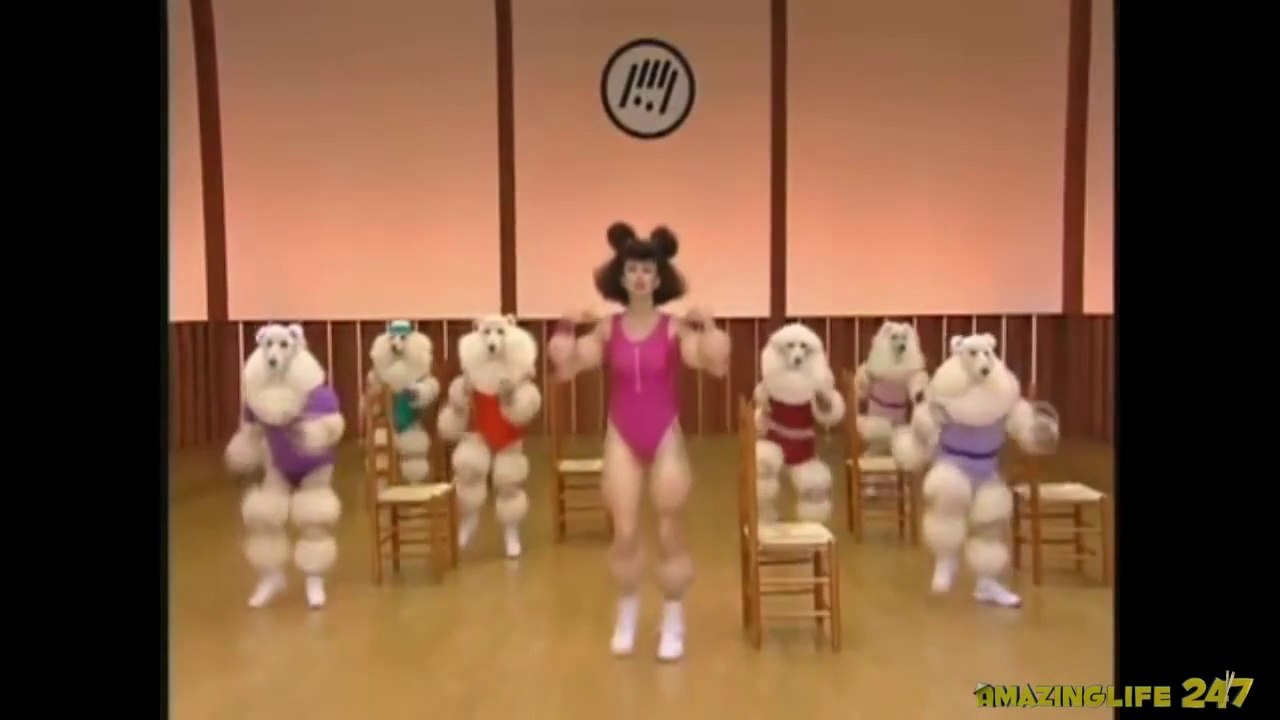 Poodle Dog Workout Like you have never seen before