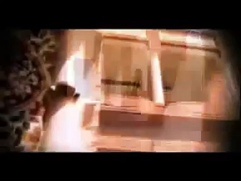 PTV song.dill tang tang gy