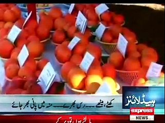 Dir Lower Malta Report By Express News