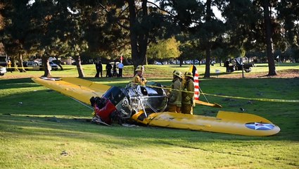 Harrison Ford in Surgery After Crash