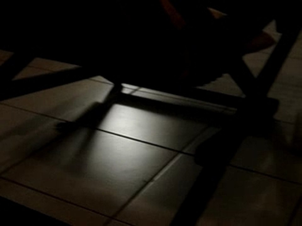 Mon chat qui joue avec une sauterelle