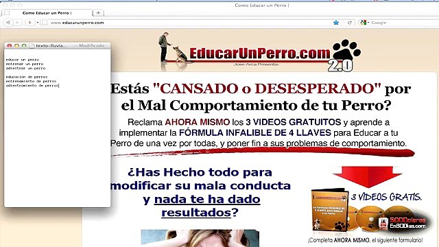 02.Lluvia de ideas para identificar las palabras claves principales 500 Dolares en 60 Dias