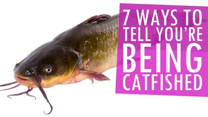 7 Ways To Tell You're Being Catfished