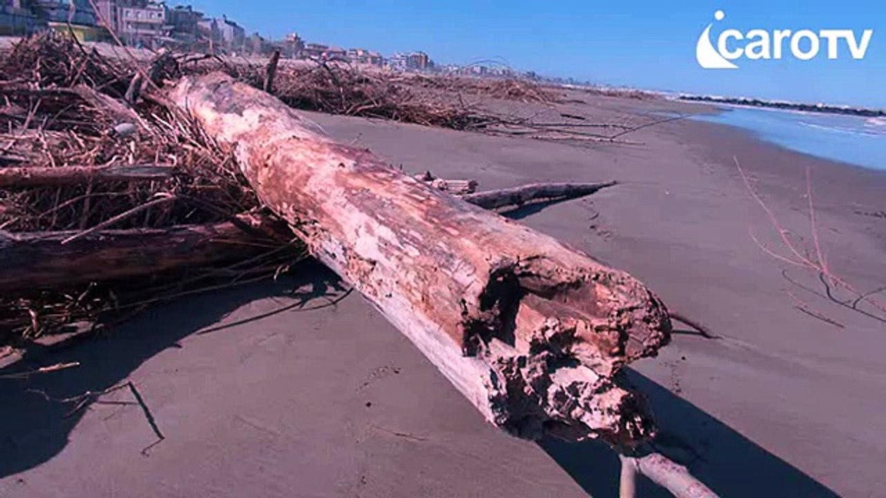 Icaro Tv. In spiaggia dopo la mareggiata