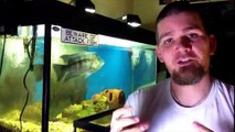 Nualgi Aquarium User Submitted Testimonials