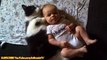 FUNNY VIDEOS_ Funny Cats - Funny Baby - Funny Cat Videos - Funny Animals - Funny Babies Videos