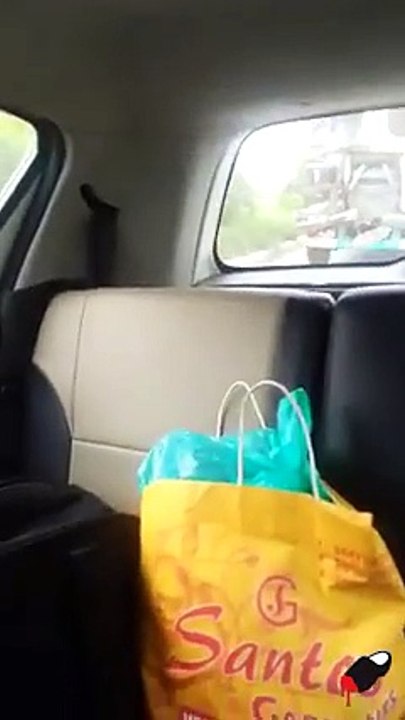 Ce Routier Conduit un Camion Vraiment Bizarre