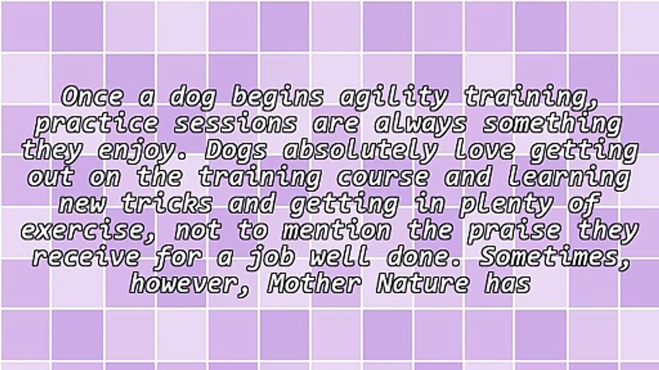 Agility Training Perfect For Rainy Weather