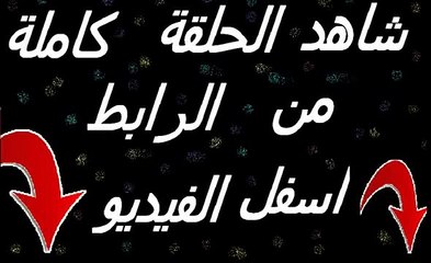 مشاهدة مسلسل وادي الذئاب مسلسل وادي الذئاب الحلقة 41