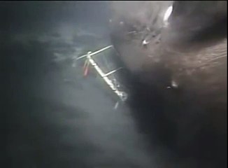 Megalodon caught on Camera