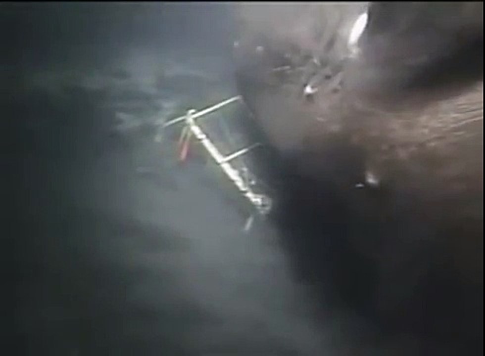Megalodon caught on Camera
