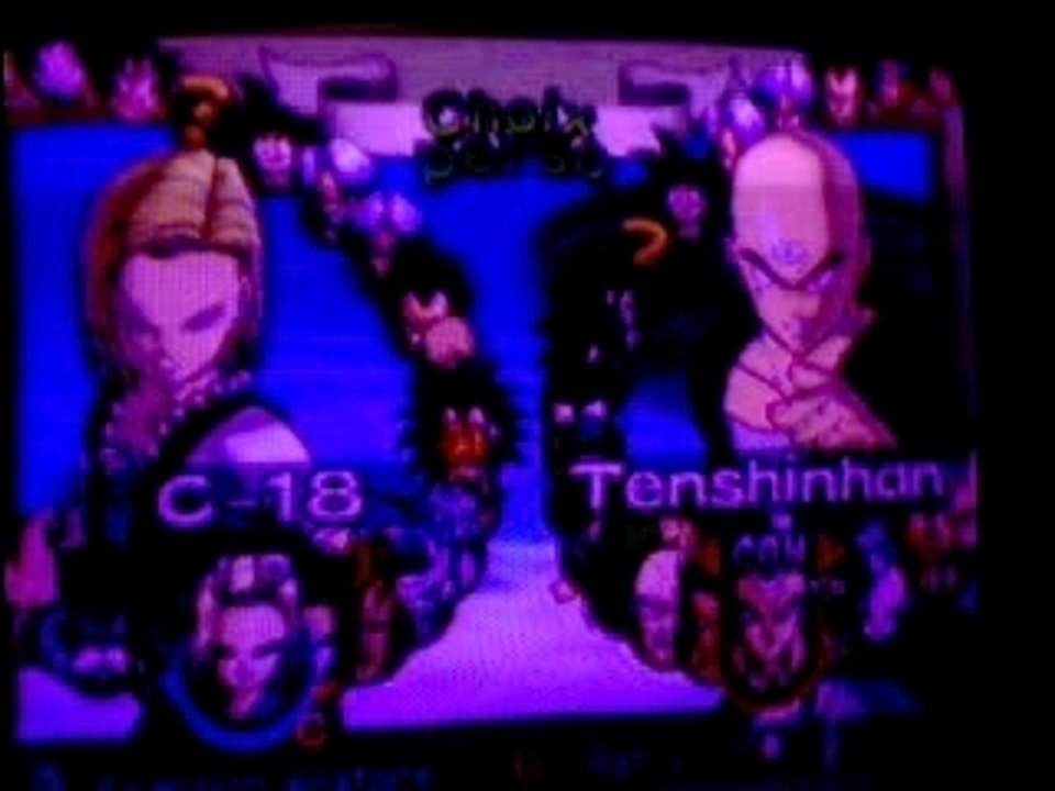 dbz budokai 2