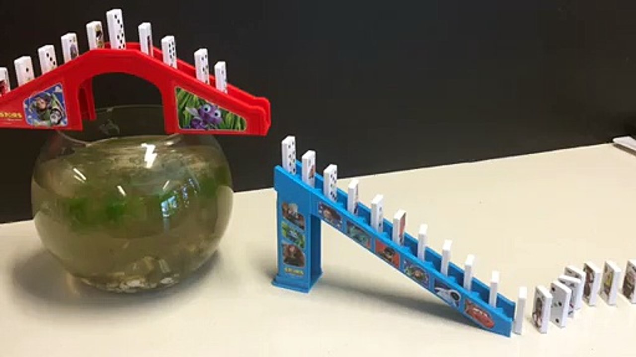 robs video