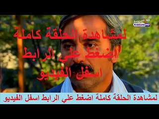 مشاهدة مسلسل وادي الذئاب مسلسل وادي الذئاب الحلقة 40