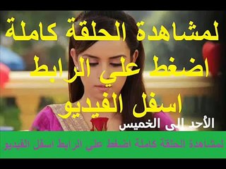 مشاهدة مسلسل وادي الذئاب مسلسل وادي الذئاب الحلقة 40