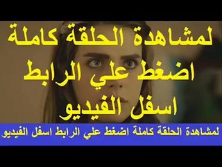 مشاهدة مسلسل وادي الذئاب مسلسل وادي الذئاب الحلقة 40