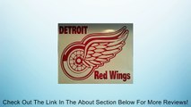 New Detroit Red Wings Cornhole Decals - 2 Cornhole Decals Get 2 Free Hole Decals Review