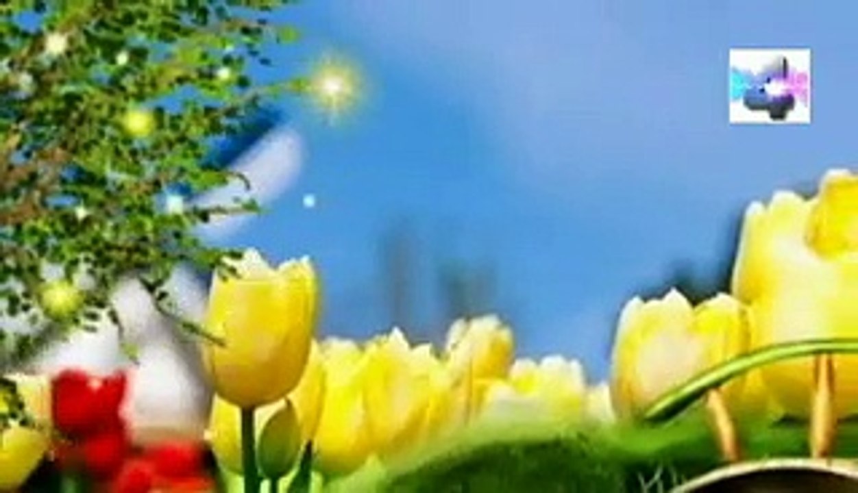 soñar que rompemos un libro significado de los sueños español latino