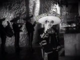 Vicente Fernandez - Sublime Mujer