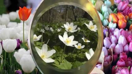 8 марта поздравления