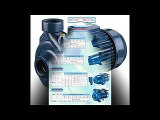 máy bơm nước Pentax,giá máy bơm nước, bán máy bơm nước trục ngang: 0986327465