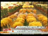 DMC Central Metro One Baldiyati Khabren (  Flowers making  ) 29-12-2014