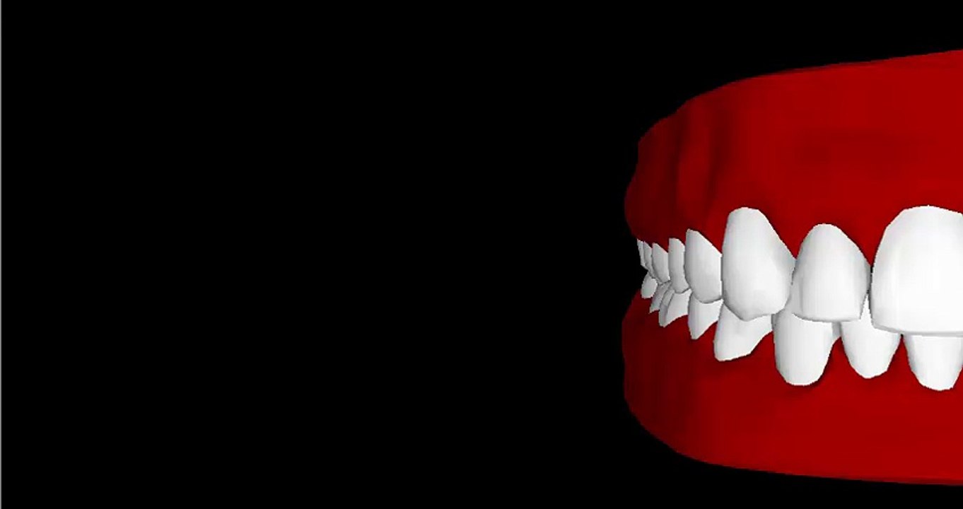 upper teeth