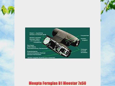 Meopta Fernglas B1 Meostar 7x50