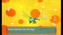 Pokemon ORAS (Alpha Sapphire) EPIC Shiny Egg Hatching Montage! (Pokemon Omega Ruby)