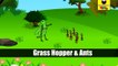 Grasshopper and Ants - English Moral Story
