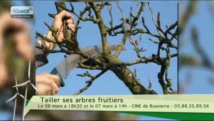 Hebdo DD : Le développement durable en Alsace (04/03/15)