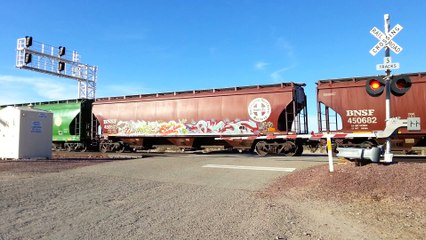 BNSF CSX Virginian heritage UP 982 awesome train