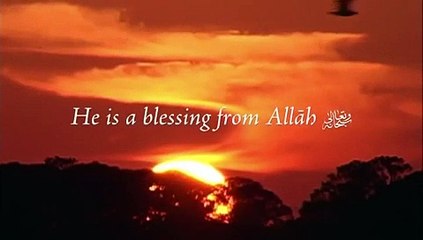 Never Take Guests As a Burden..