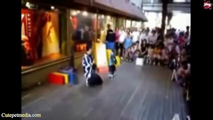 Most Funny Monkey Videos 2014-www.funnymoment.co