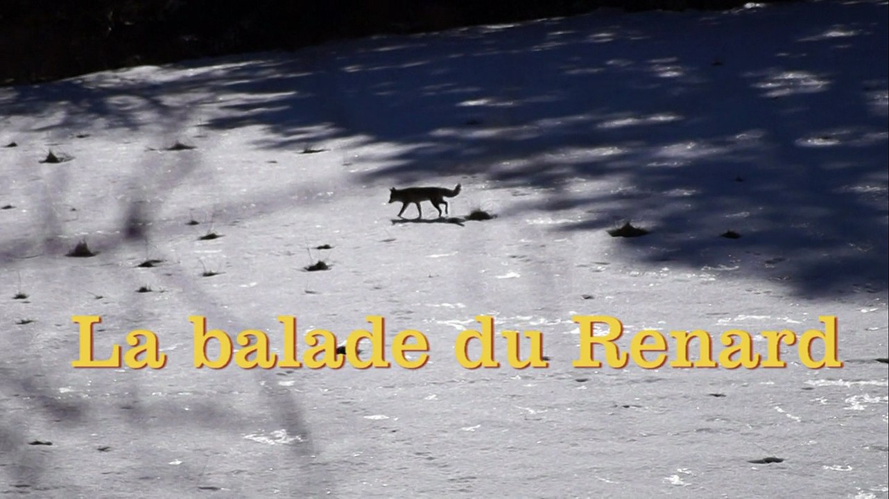 balade du renard