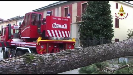 Pistoia - Maltempo, vento forte (06.03.15)