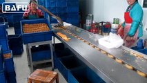 chocolate packaging machine, flow wrapper,flow pack machine,horizontal packaging machine