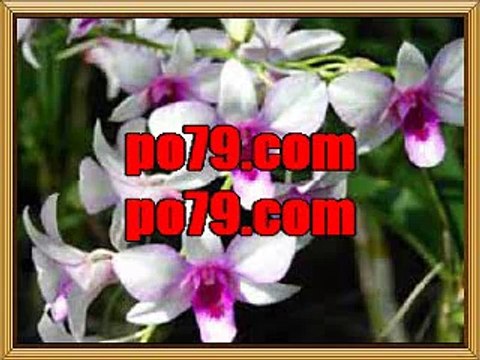 MLB배팅【【 po７9ㆍСΟМ 】】MLB배당 MLB해외배당