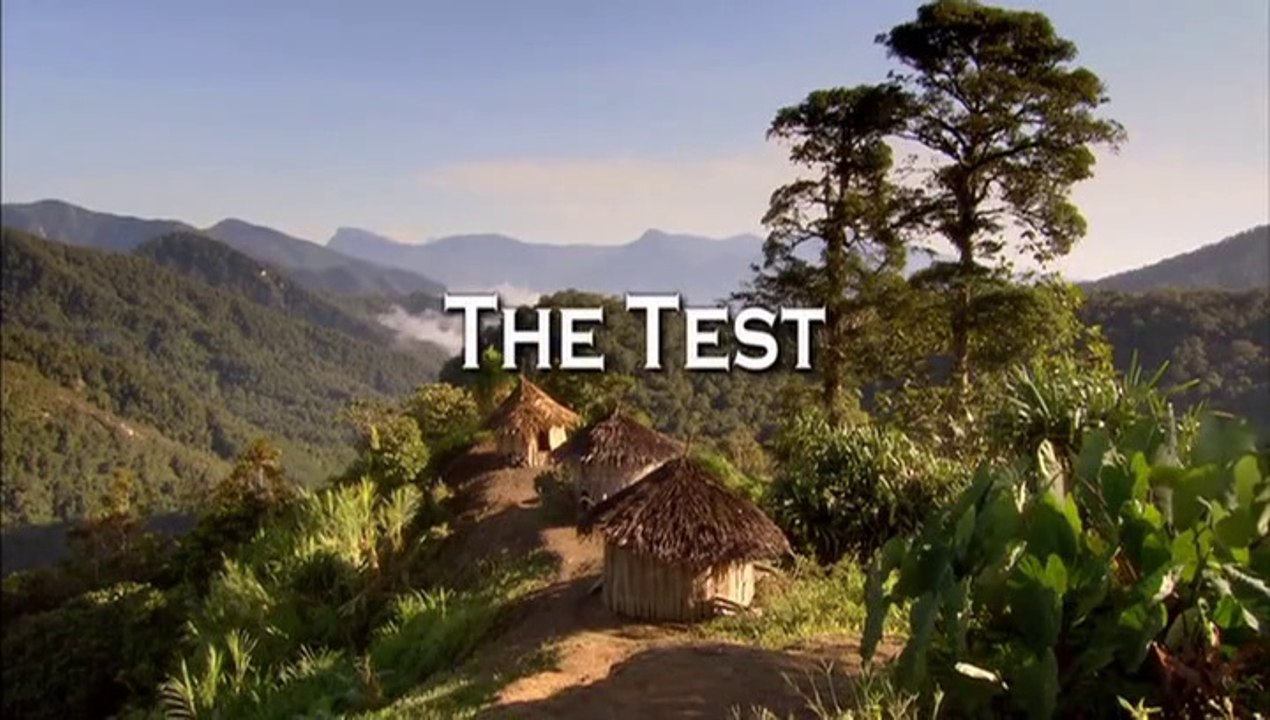 The Test.