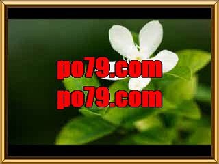 하이로우기준점【【 po７9ㆍСΟМ 】】실시간토토 라이브배팅