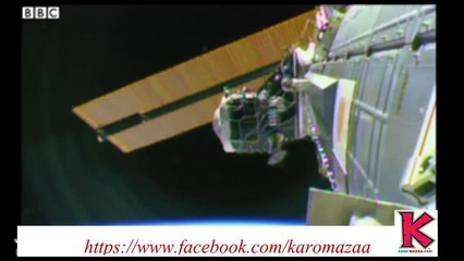 Dunya News- Light stories from all over the world.